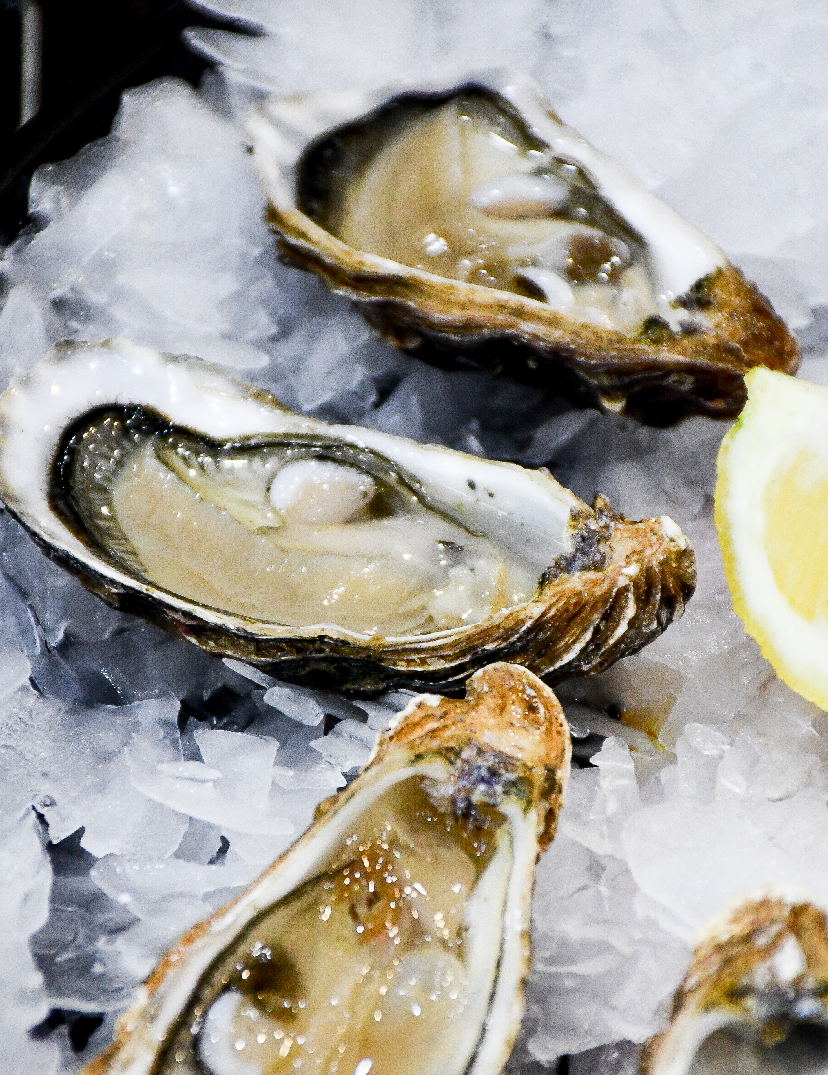 Oysters & Champagne