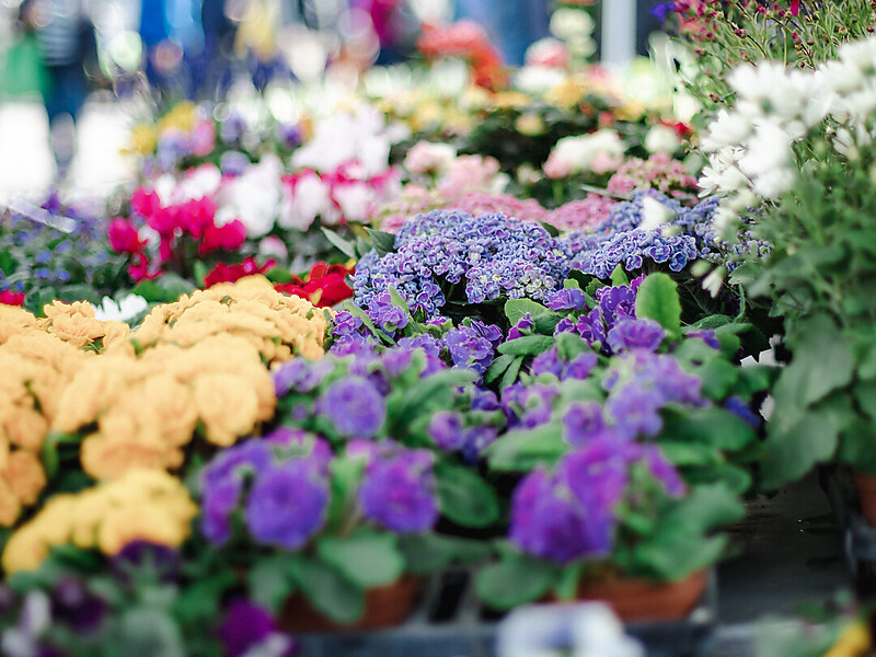 Frühlingsfest in Naturns