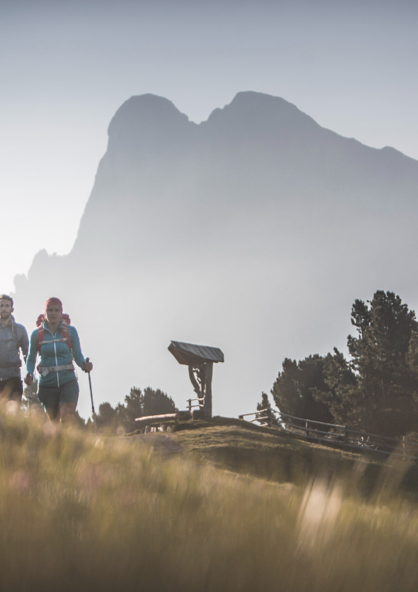 * Alpine excursion to the Sennes mountain hut with Sonja