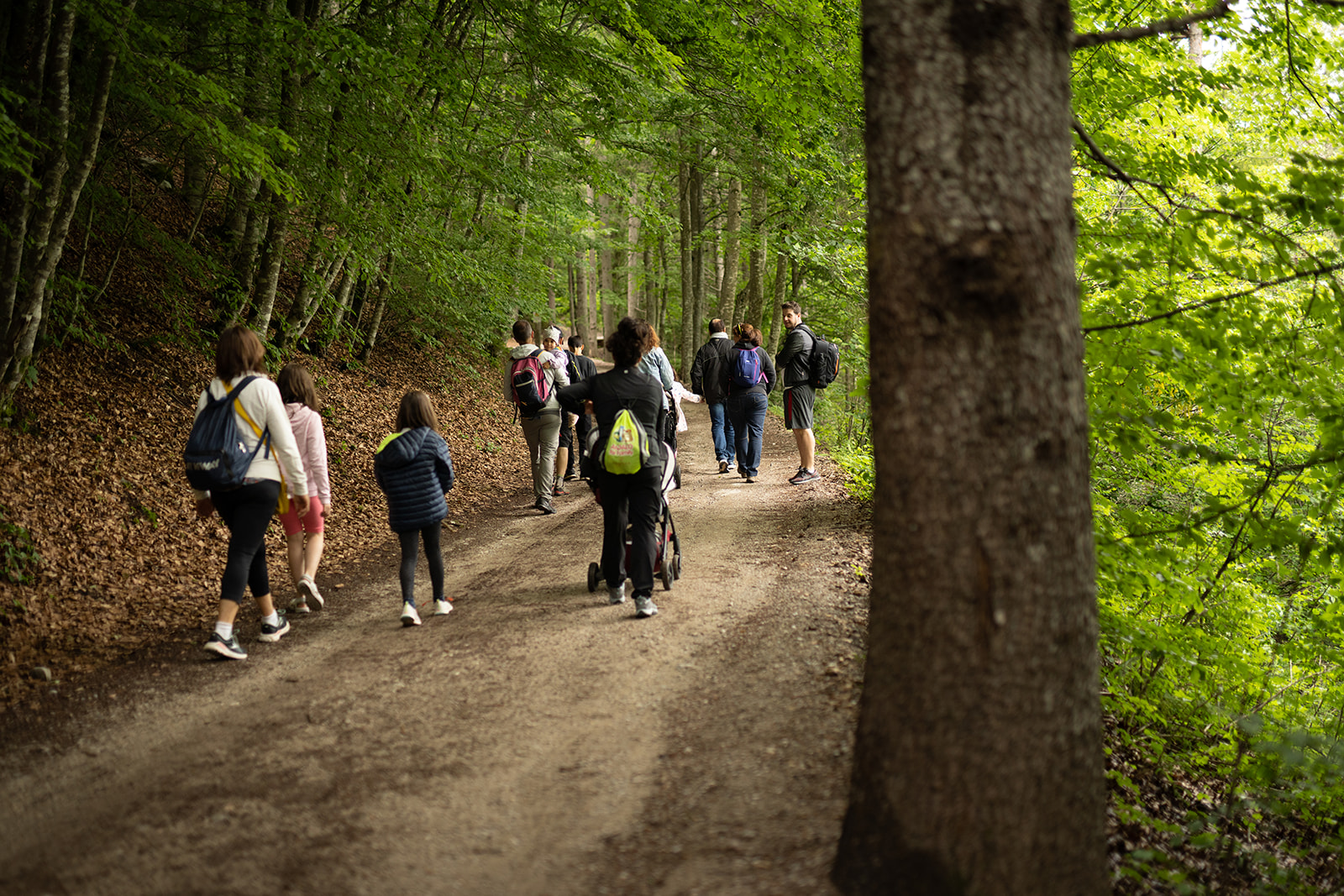 Walk to the ermine den