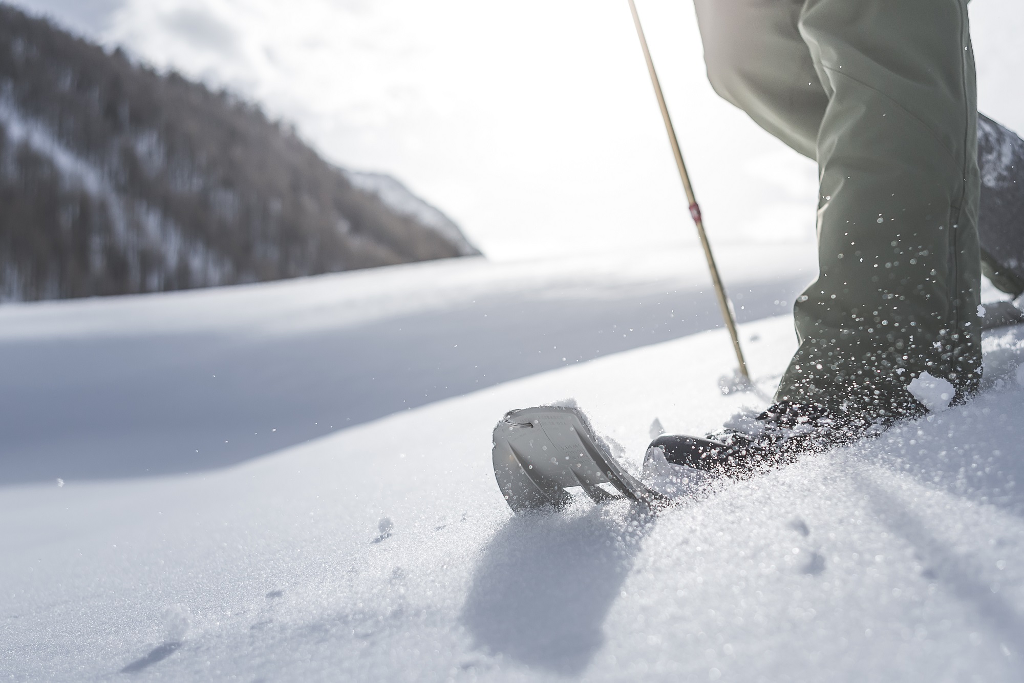 * Snowshoe excursion in the valley of Braies with Werner