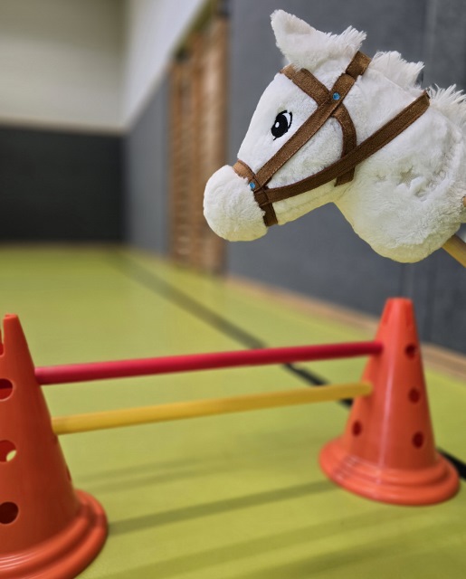 Hobby horsing for kids from 5 - 7 years