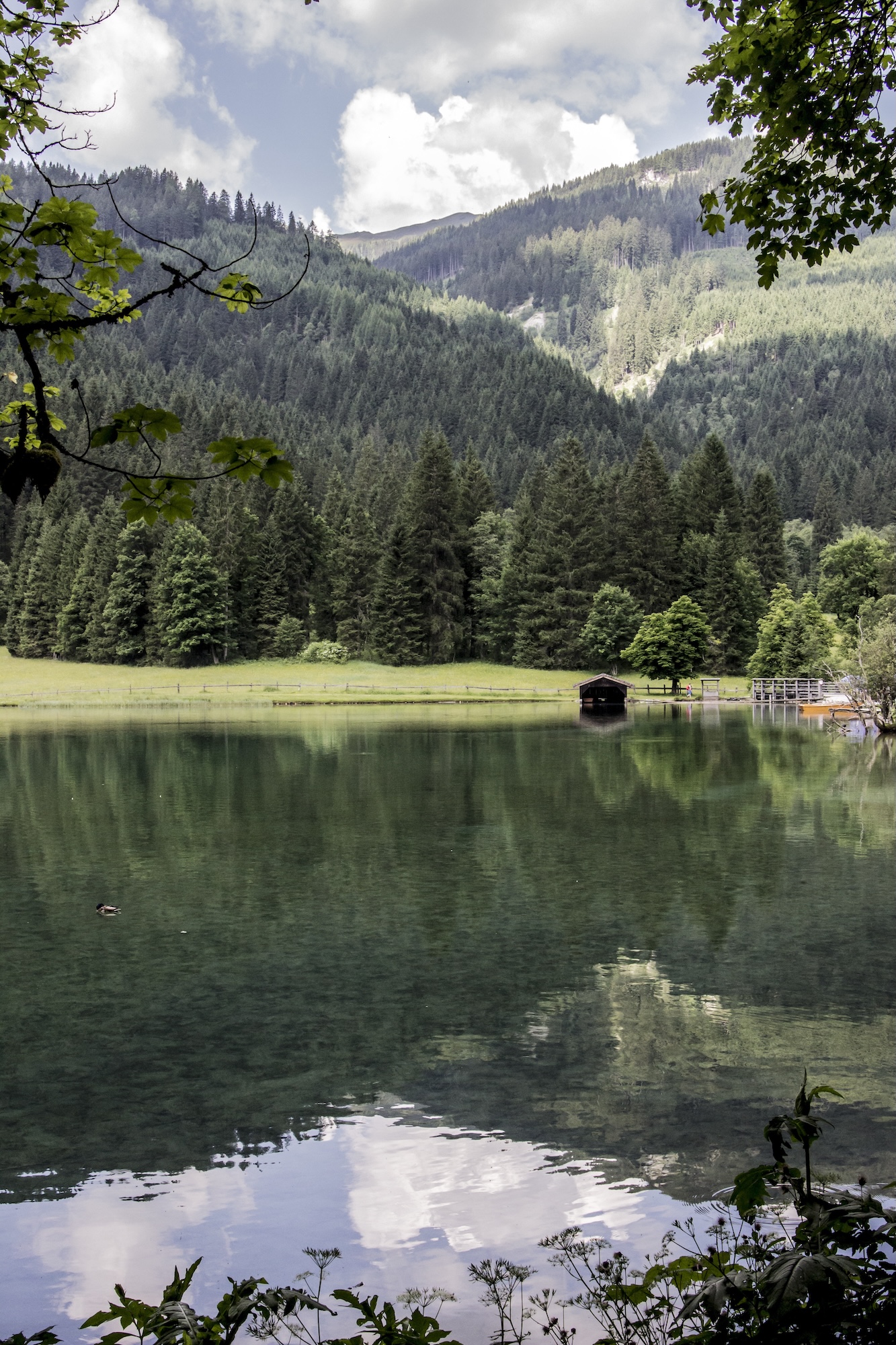 Natural jewel Jägersee & hike to Tappenkarsee lake