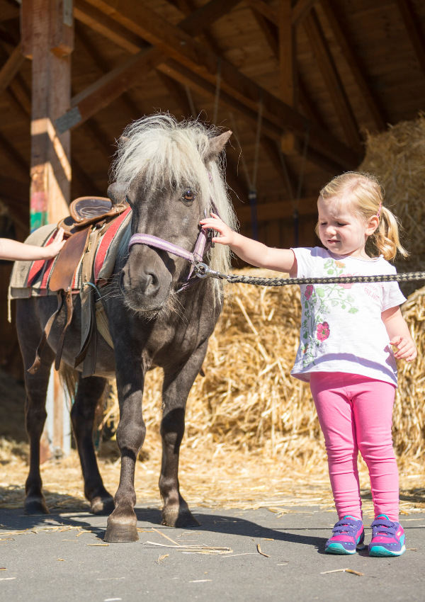 Ponyspaß
