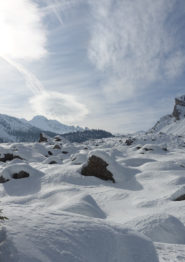 * With the snow cat on Fanes plateau followed by snowshoe hike with Werner