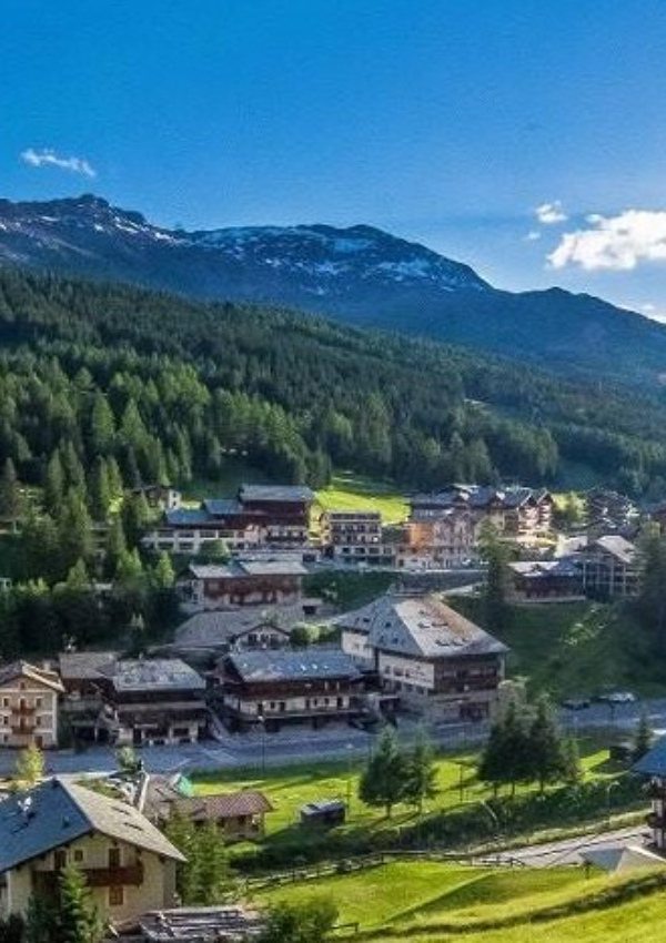 Valfurva