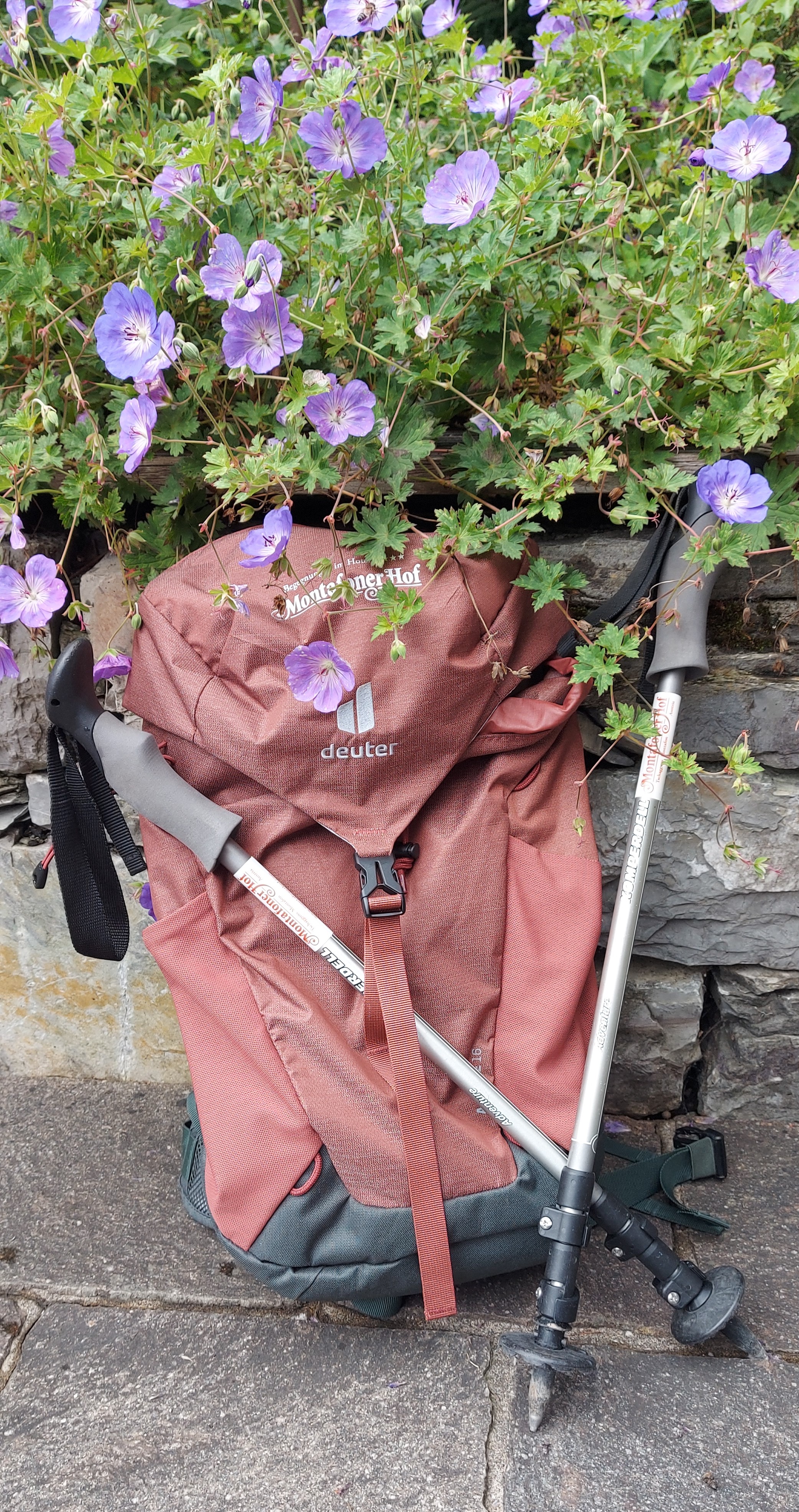Hiking poles and rucksack rental