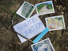 Forest educational tour