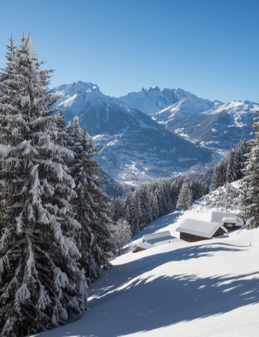 Schneeschuhwanderung Partenen