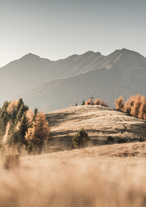 * Hike to the Schönberg in the Ahrntal with Werner