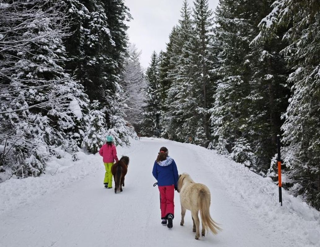 Pony hike to the Wildmoosalm
