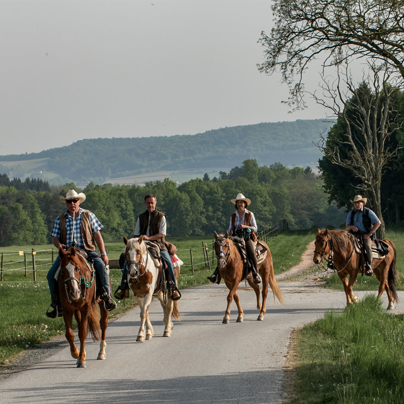 Adventure in the saddle: forest & meadow rides