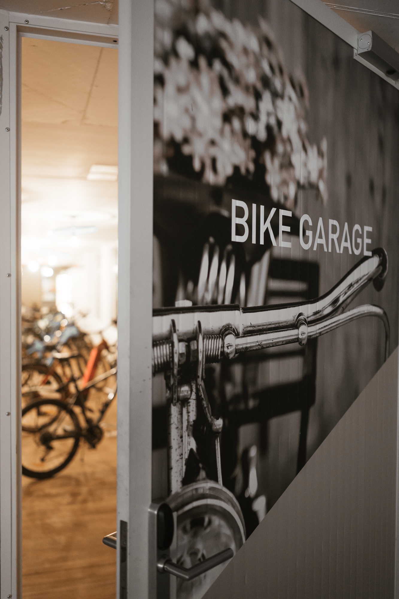 E-bike rental