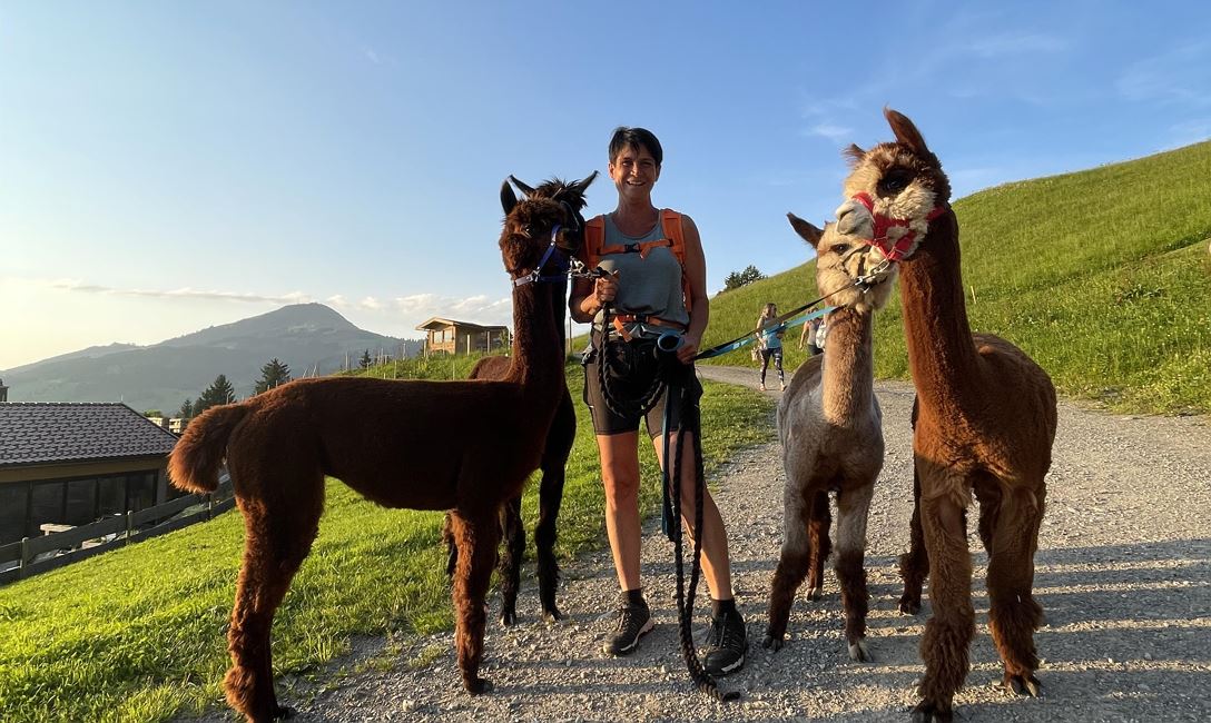 Alpaca hike | Experience in the Kitzbühel Alps