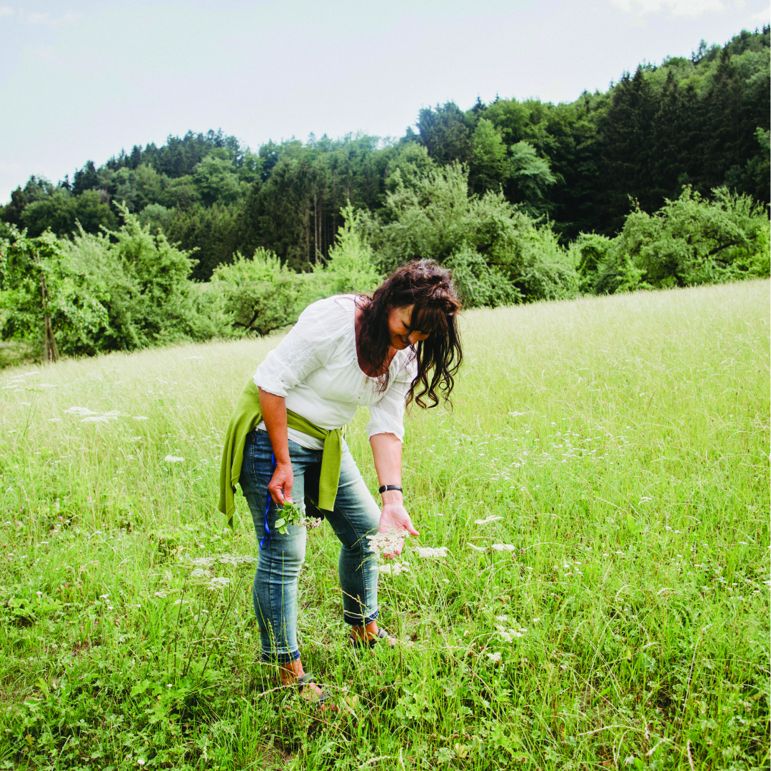 Kräuter- und Erlebniswanderung: Wildkräuter - Superfood und Schönheitsmittel
