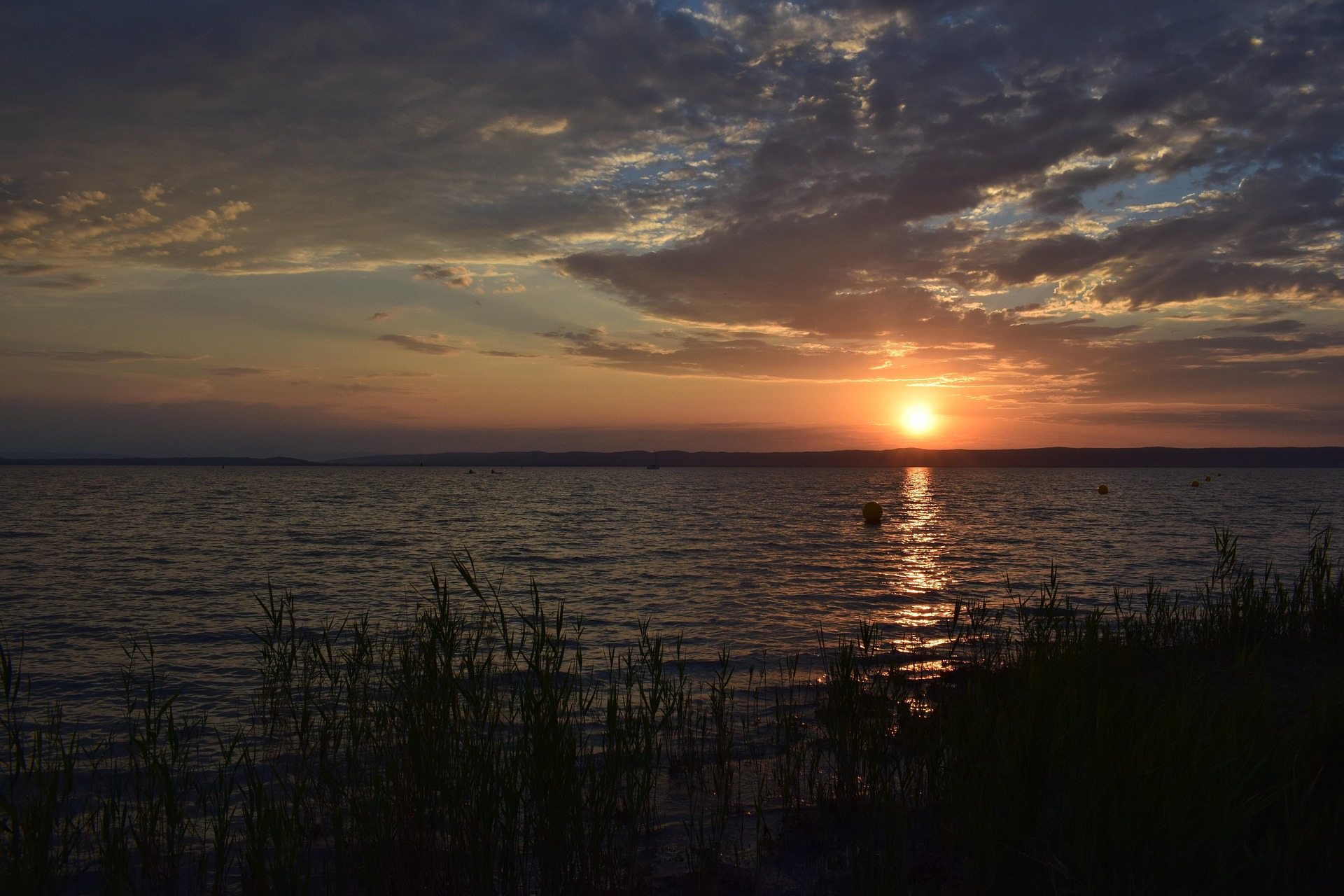 Entdecke den Nationalpark Neusiedler See - Seewinkel