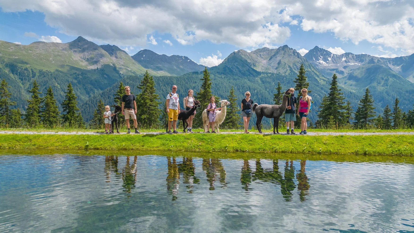 Family hike with alpacas & llamas - an animal-friendly adventure hike