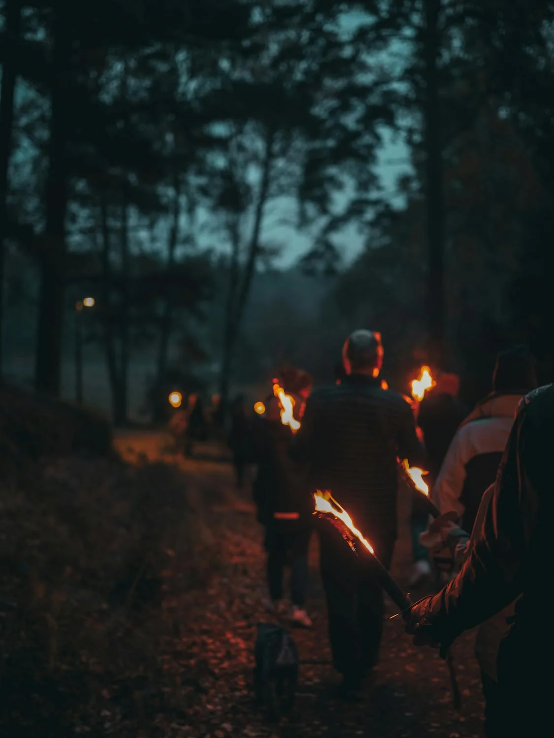 Sagenhafte Schwarzwälder Fackelwanderung