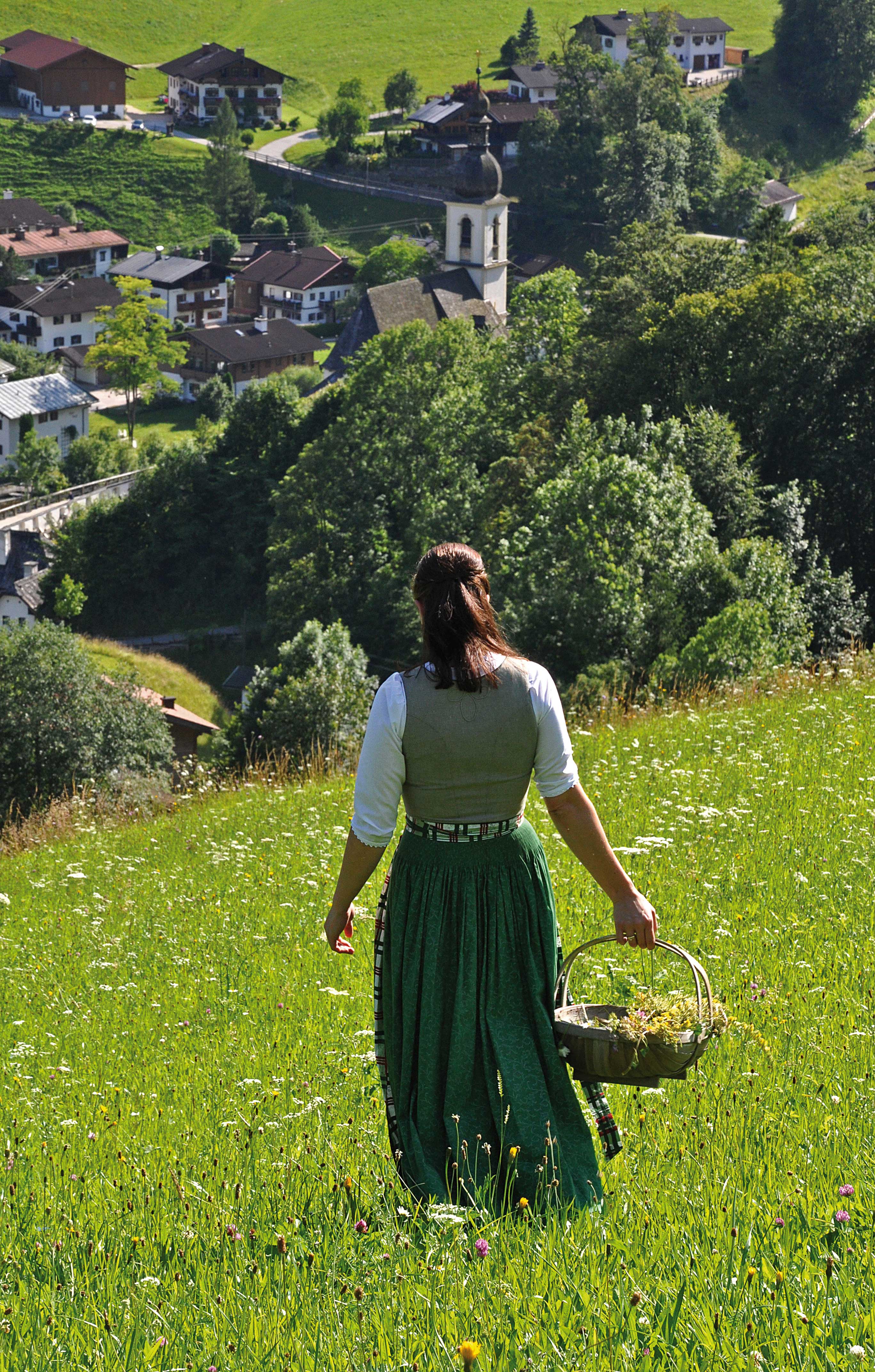 Herb hike with culinary tips