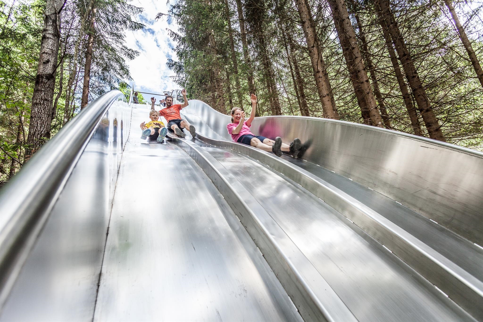 Forest slide park Natrun