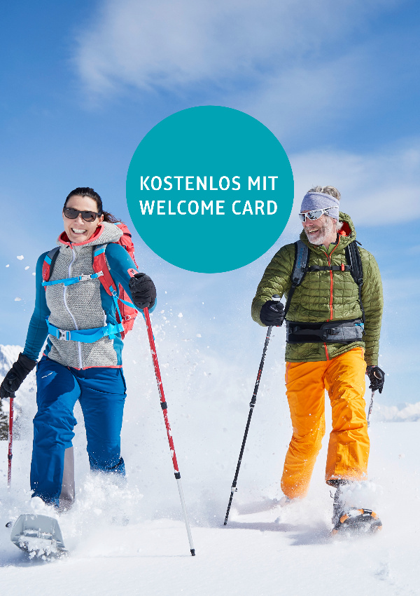 Deceleration with summit experience - snowshoe hike for sporty people image