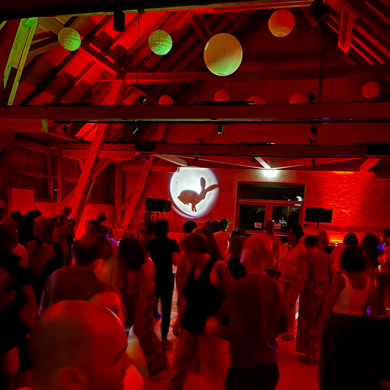Hasen-Party
