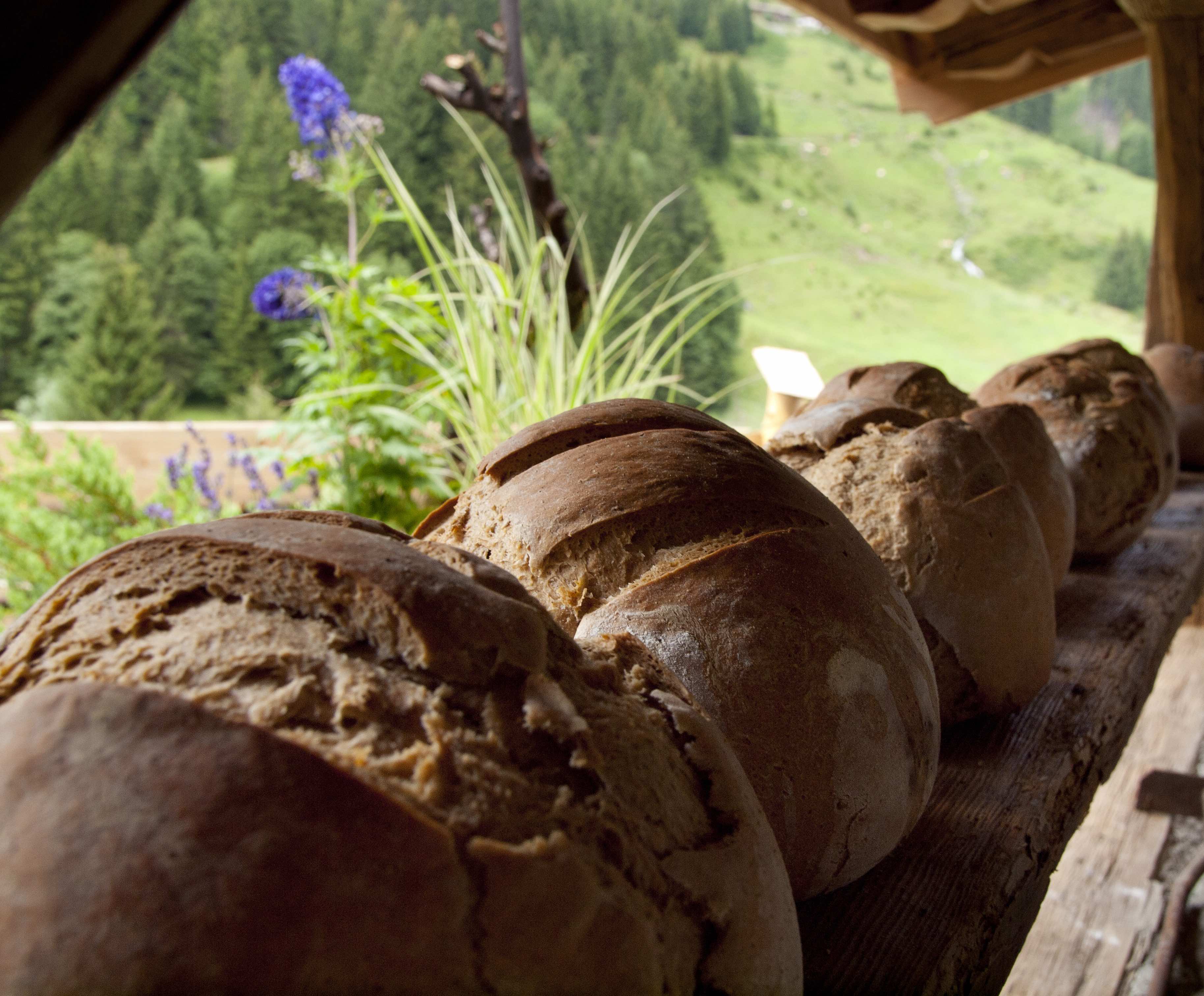Farmhouse bread fresh from the oven with Ledal - bread baking course