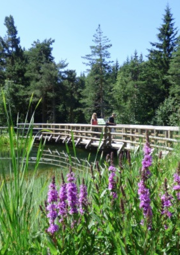 Alpiner Botanischer Garten "Rezia