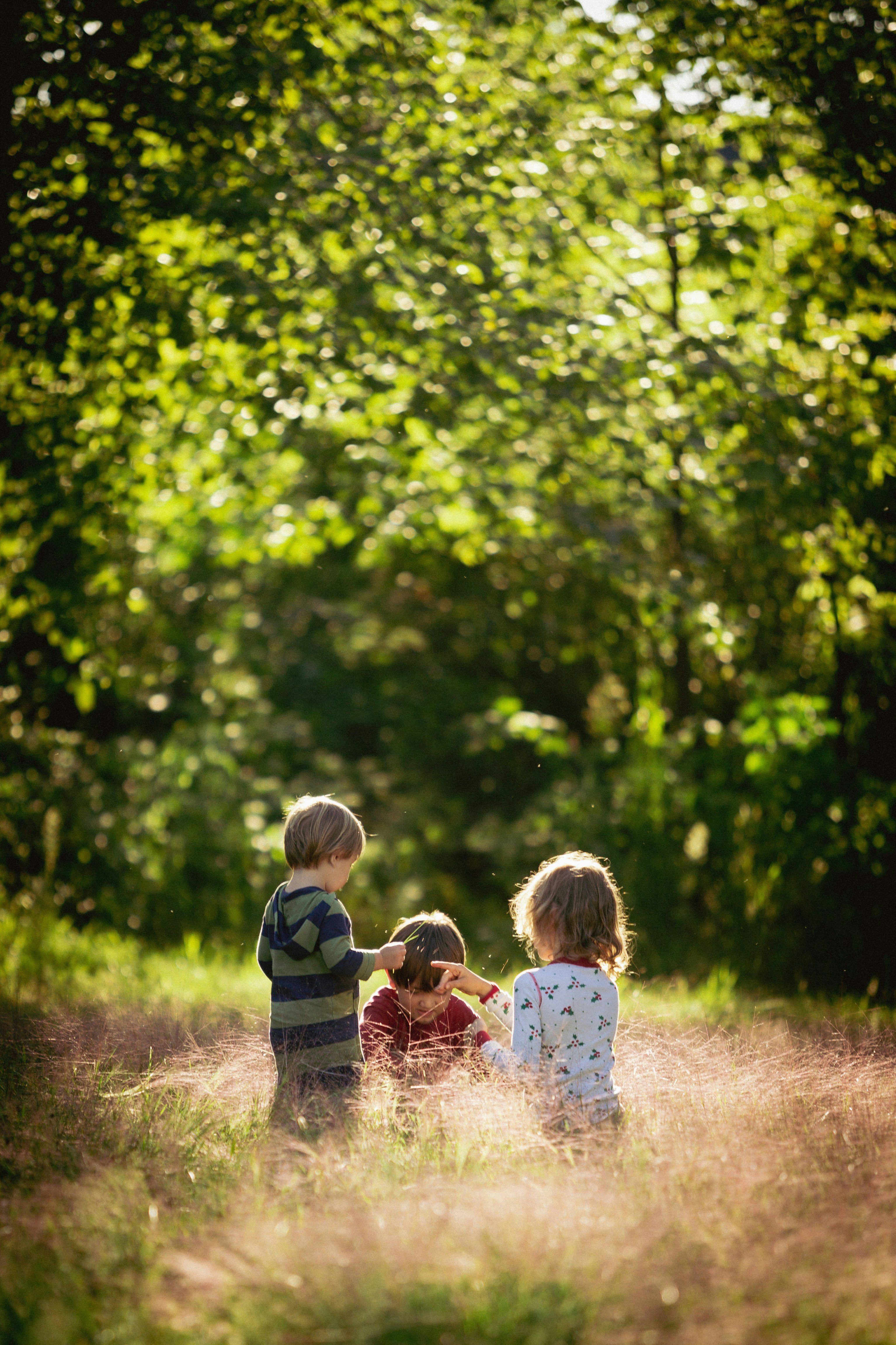 KUNOS KIDS CLUB - Forest expedition
