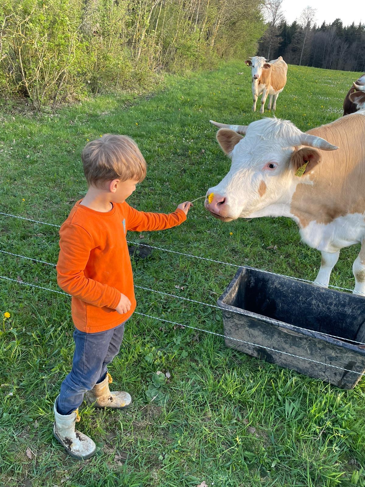 BauernHofErlebnis für Grundschulklassen