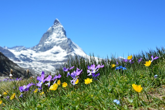 Bergkräutermassagen