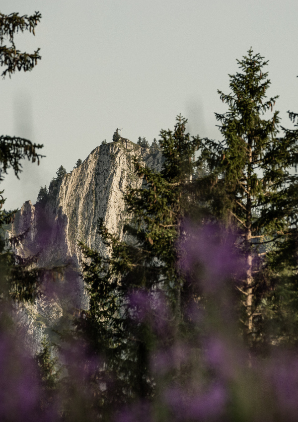 Wanderung a477ac73-8cfb-4ff9-8983-852a95bcd0d1.jpeg