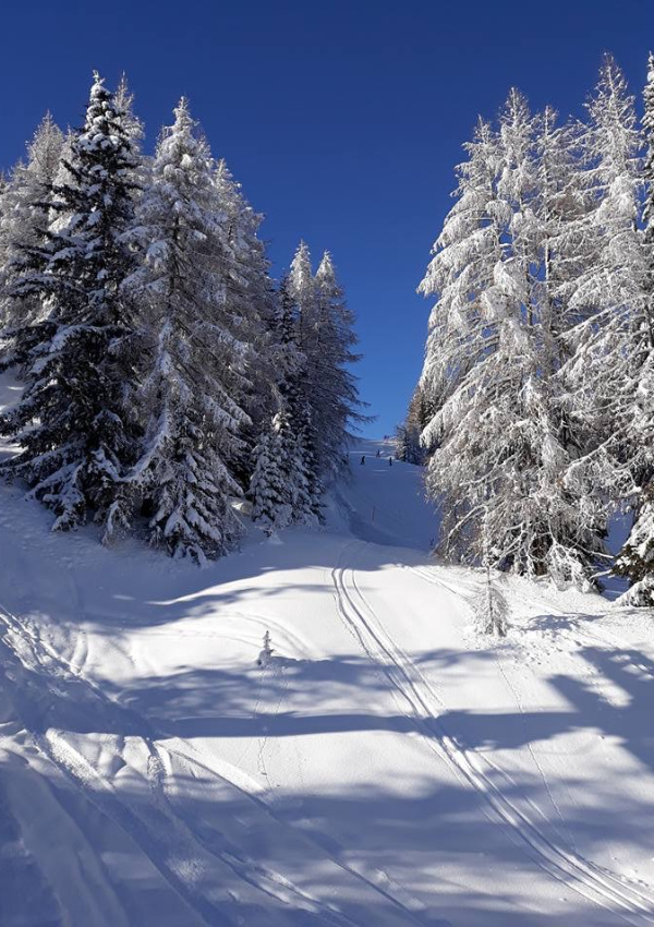 Ski touring