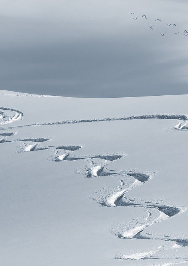 Nature-friendly on the road in winter