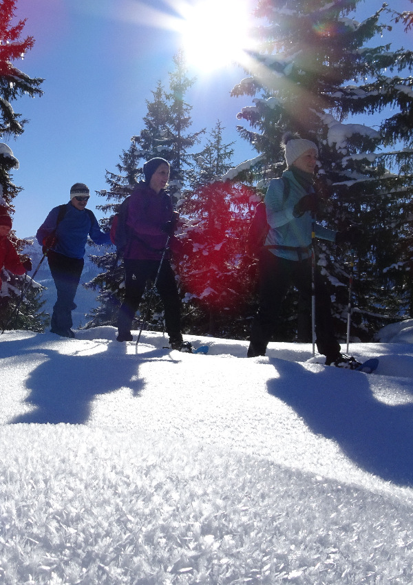 Guided winter hike with snowshoes
