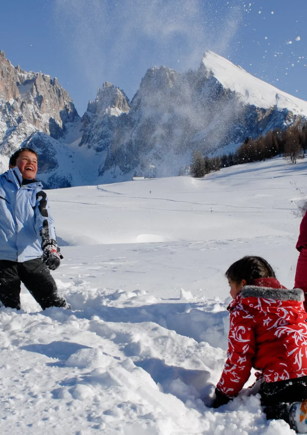 Animali in inverno: tracce e sopravvivenza