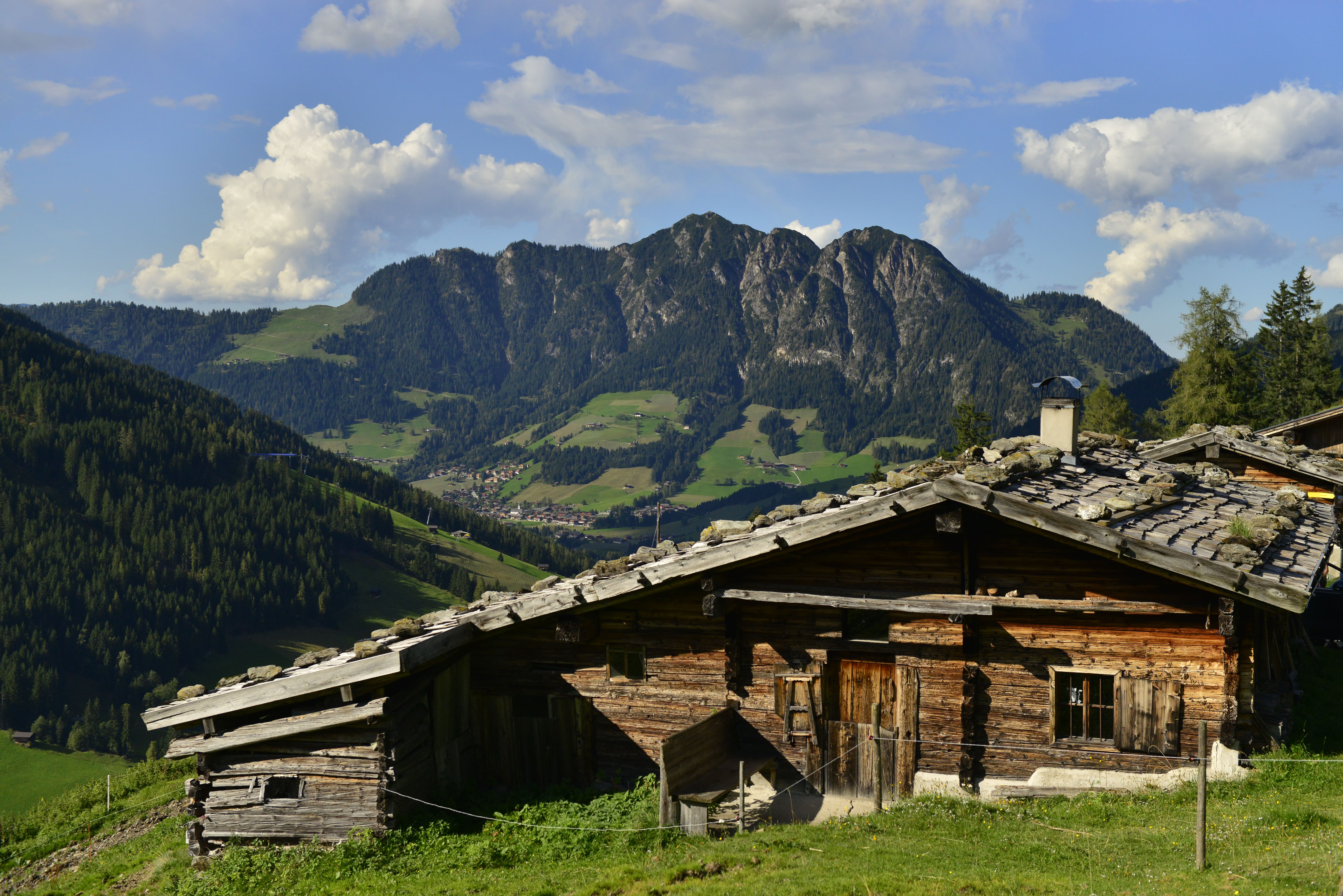 Alpine pasture hike Inneralpbach