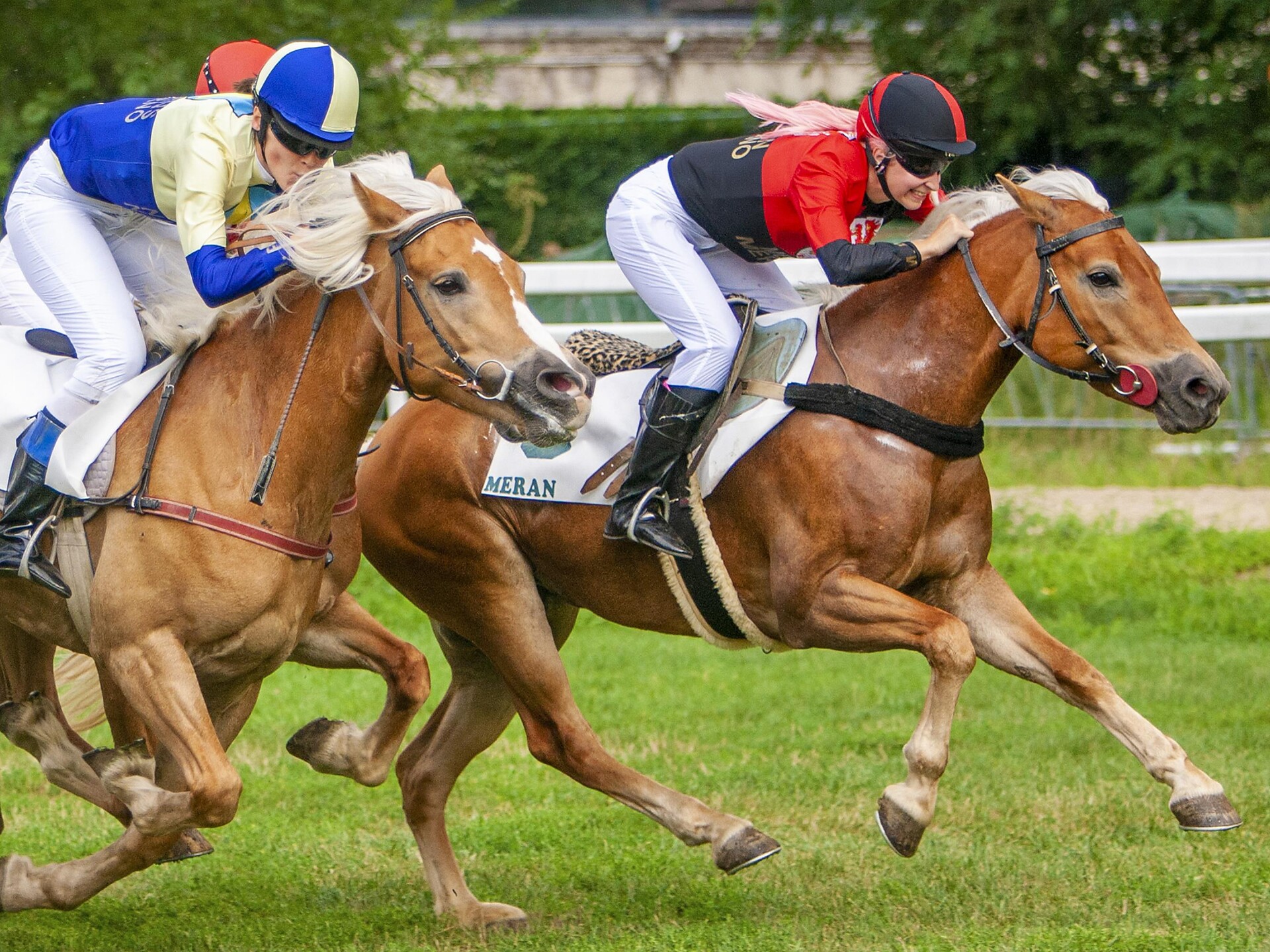 Horse races at the Merano Racecourse