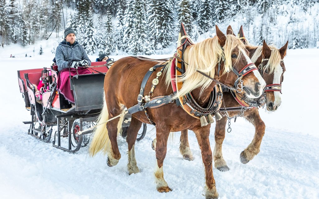Carriage ride