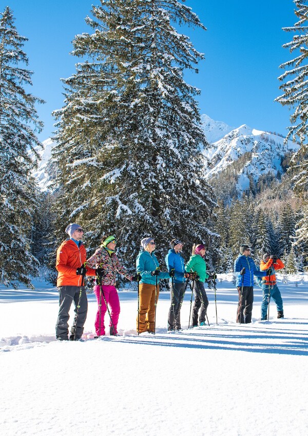 Landscape in winter with the TVB
