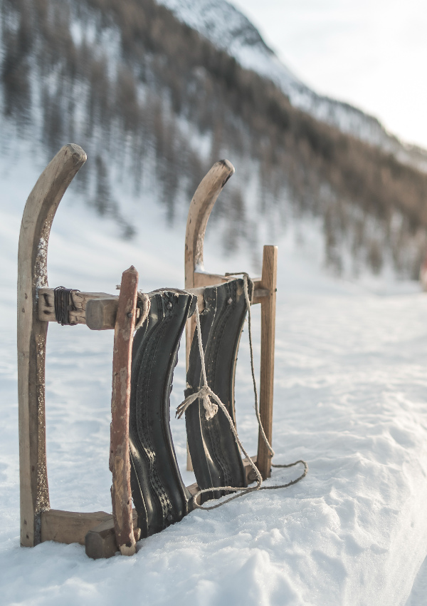 * Winter excursion / snow shoe excursion to the Pircher hut followed by toboggan run with Sonja