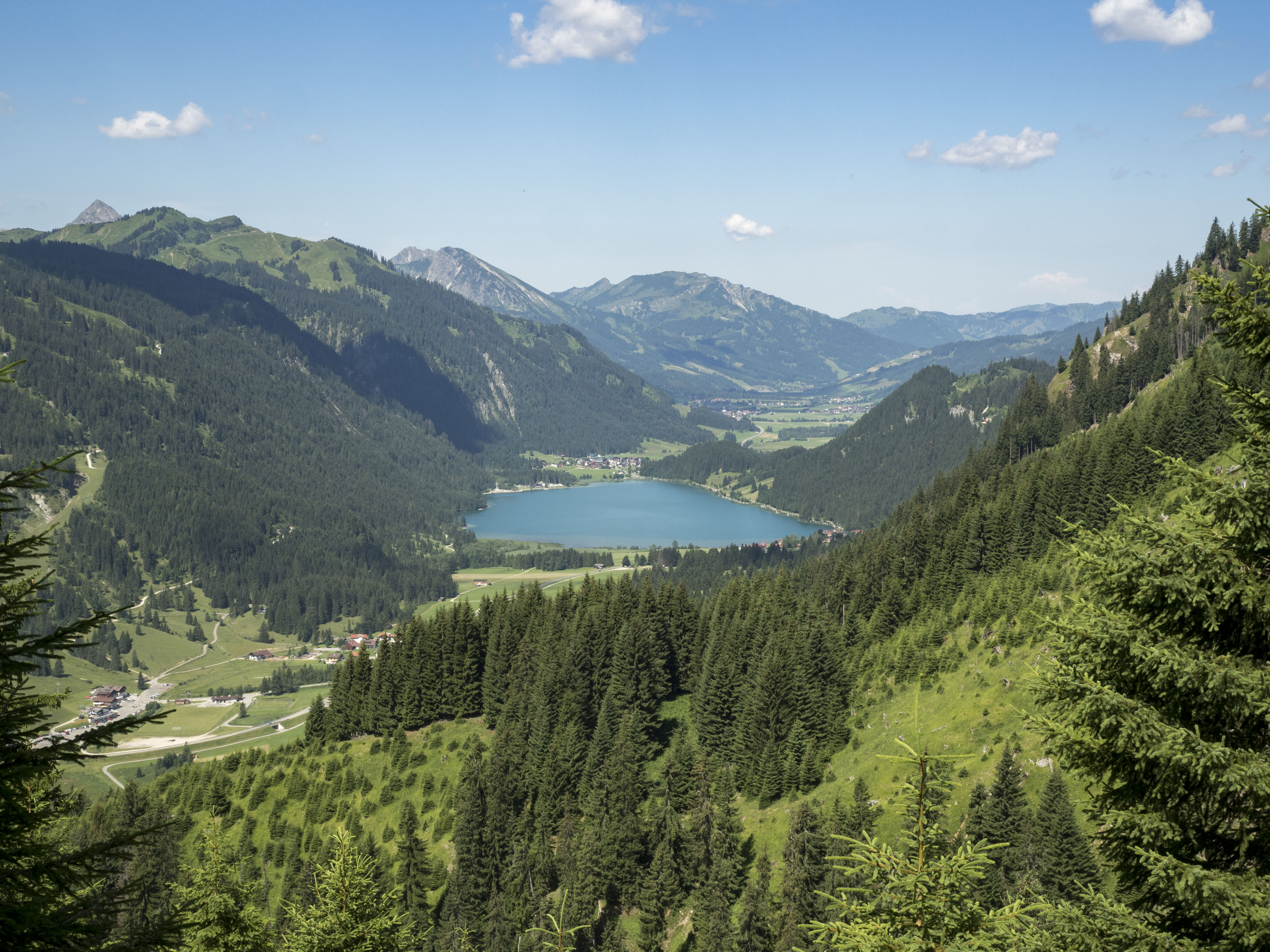  Schneetalalm 1610 m - geführte Wanderung