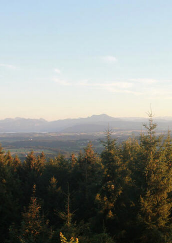 Viewpoint Pettenfirsthütte