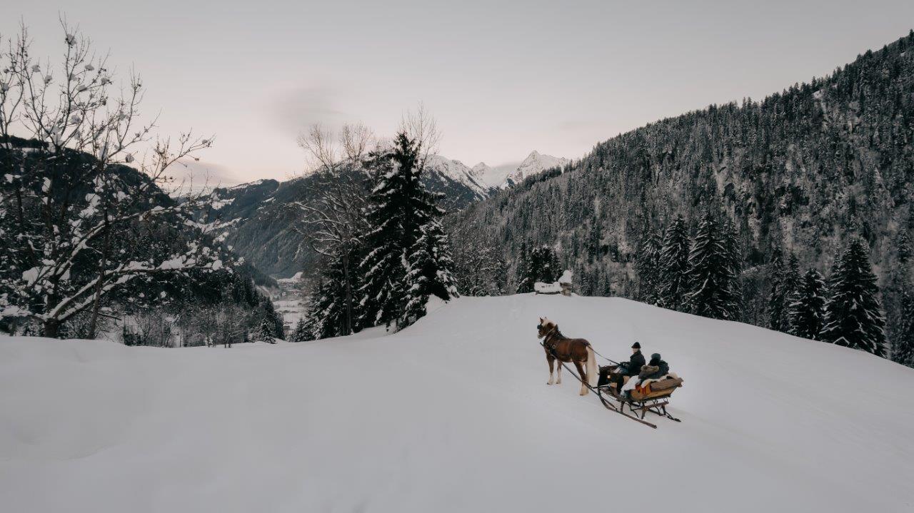 Horse sleigh ride like in a fairy tale