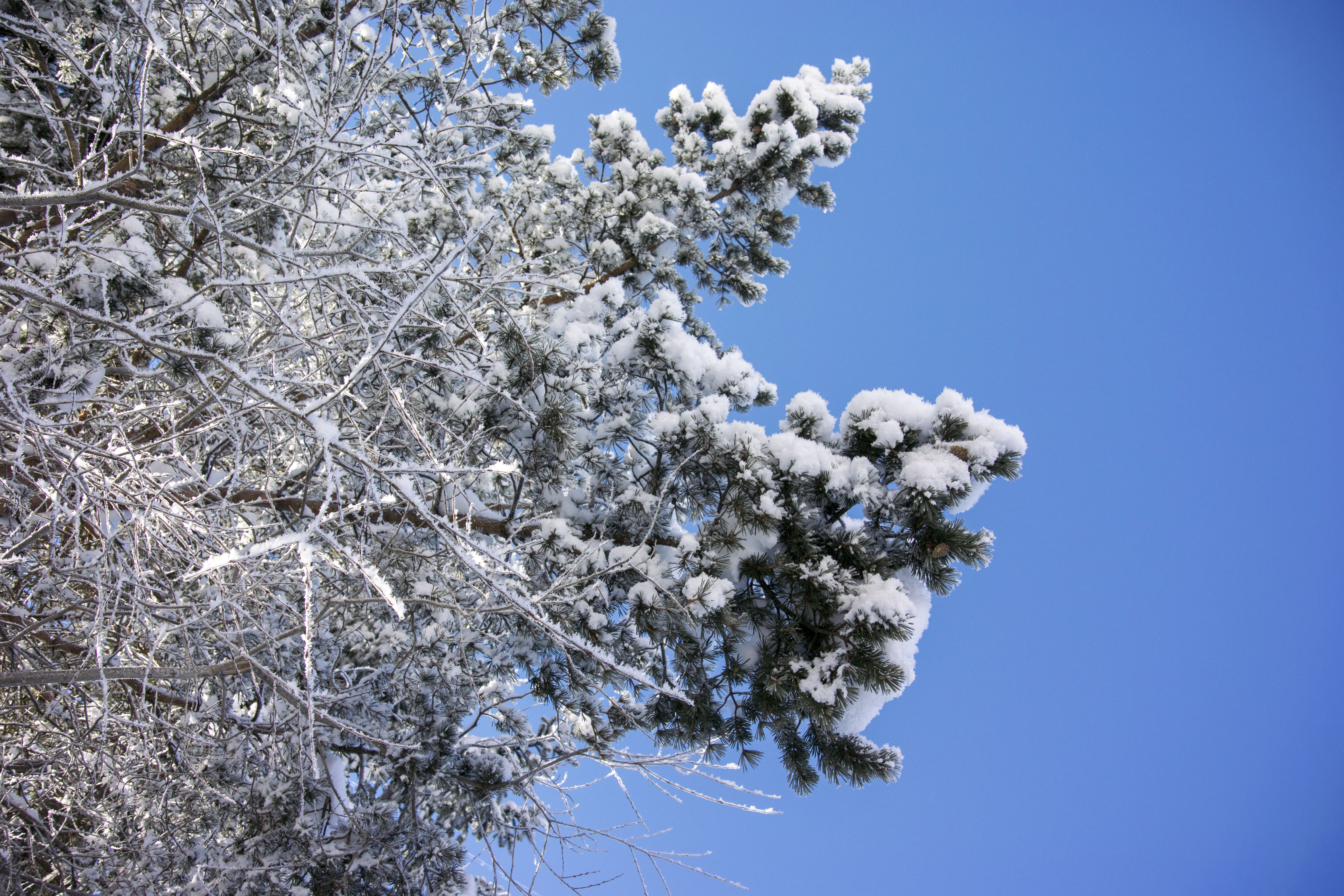 Winter Opening Tannheimer Tal