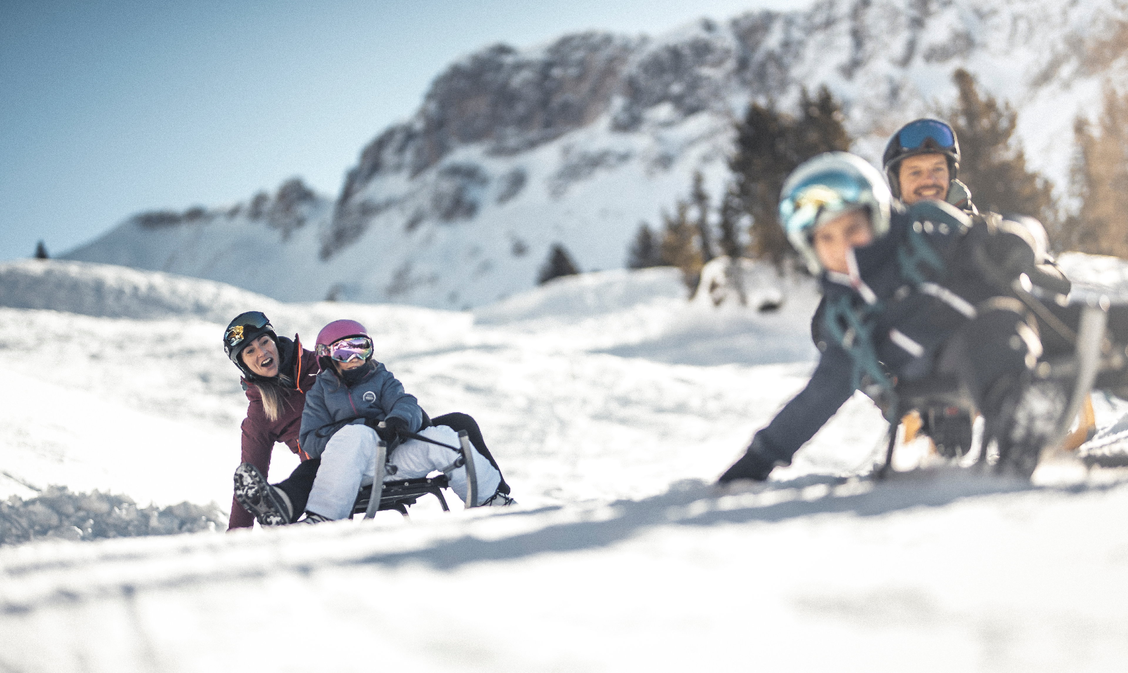 Gita con lo slittino in Val Martello image