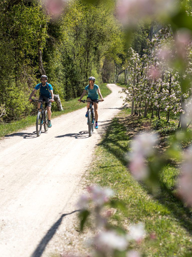 Geführte E-Bike Tour durch die Apfelblüte