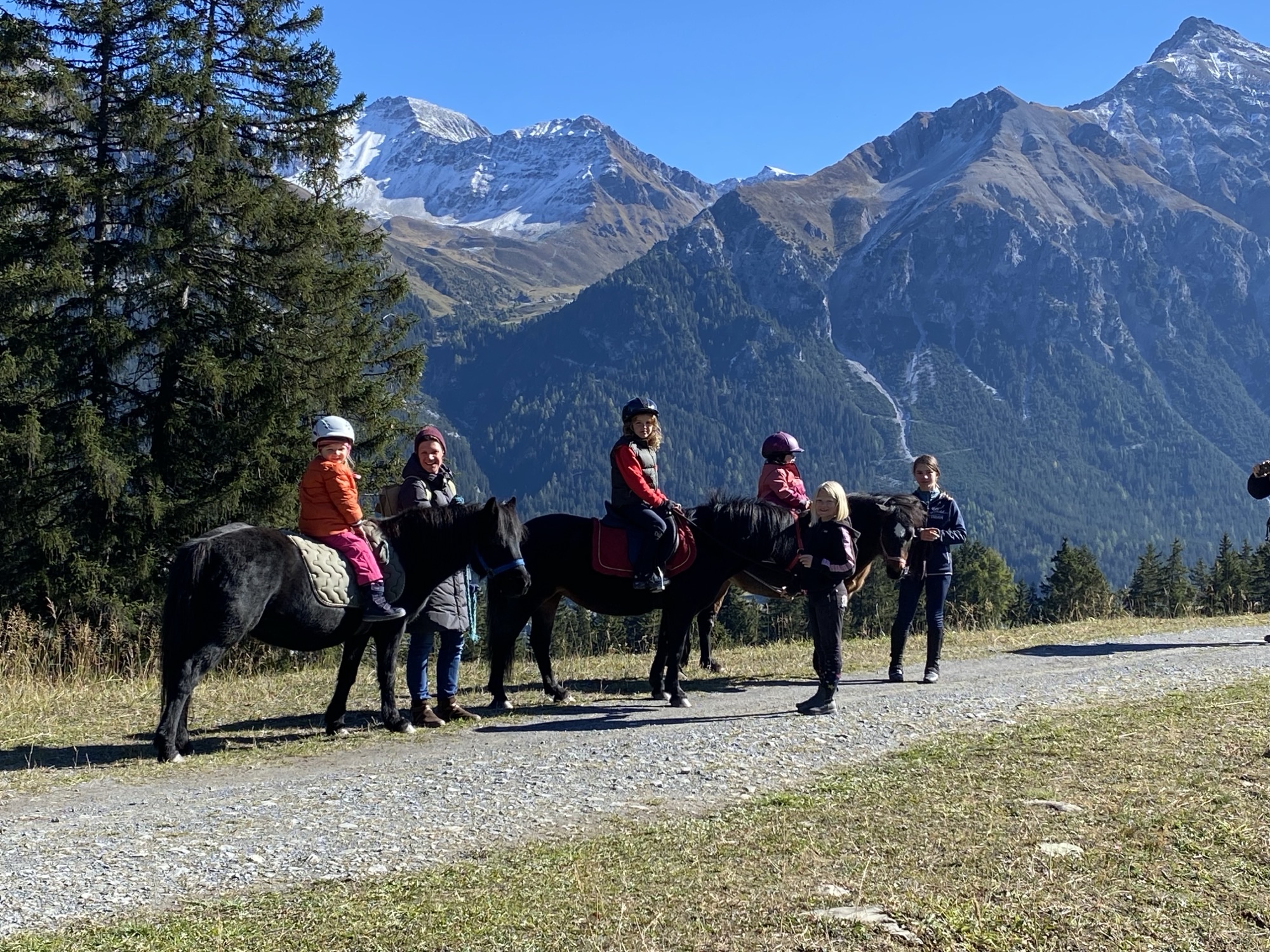 Horse riding - summer offer