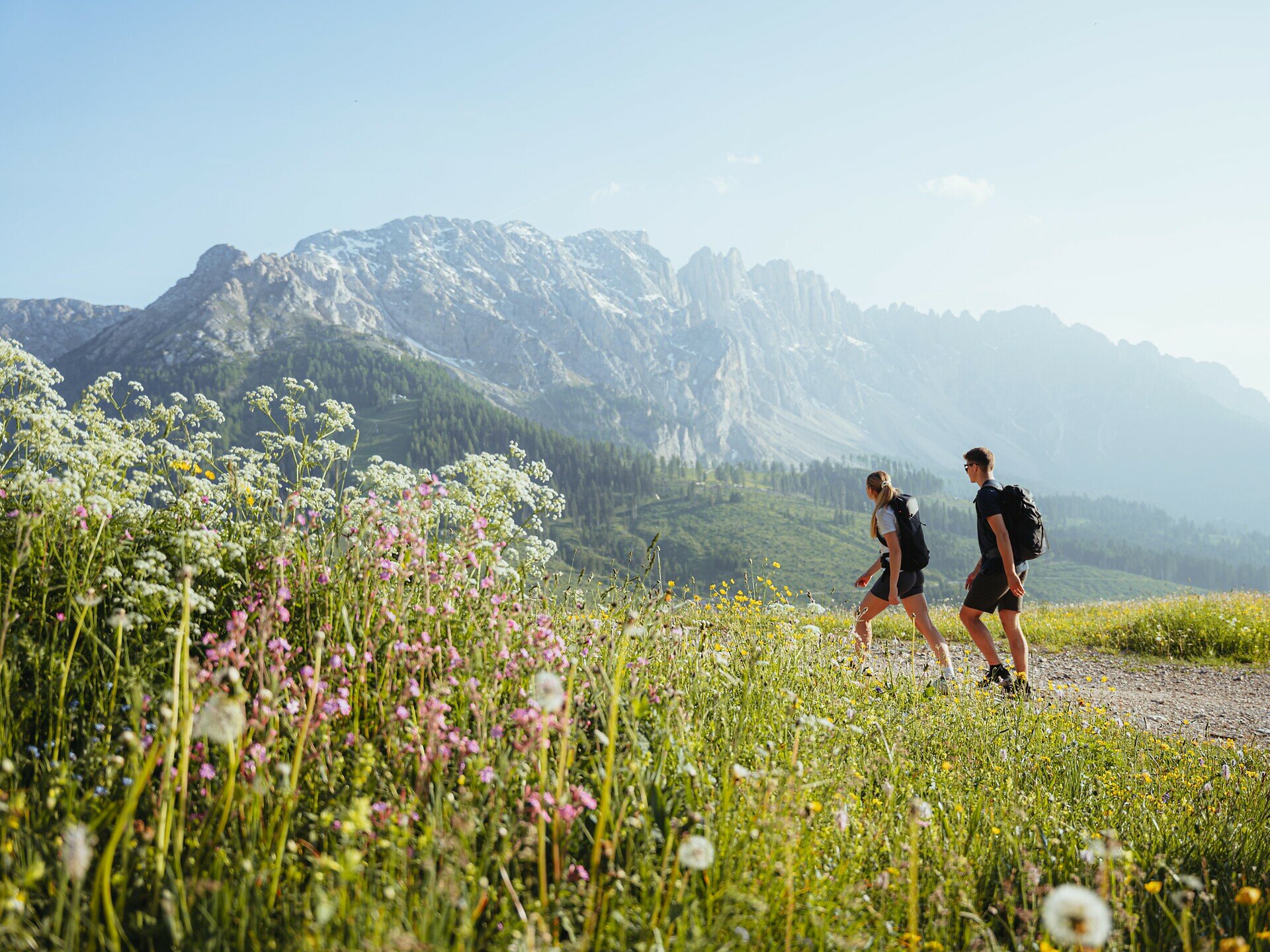 Herb hike between Rosengarten and Latemar