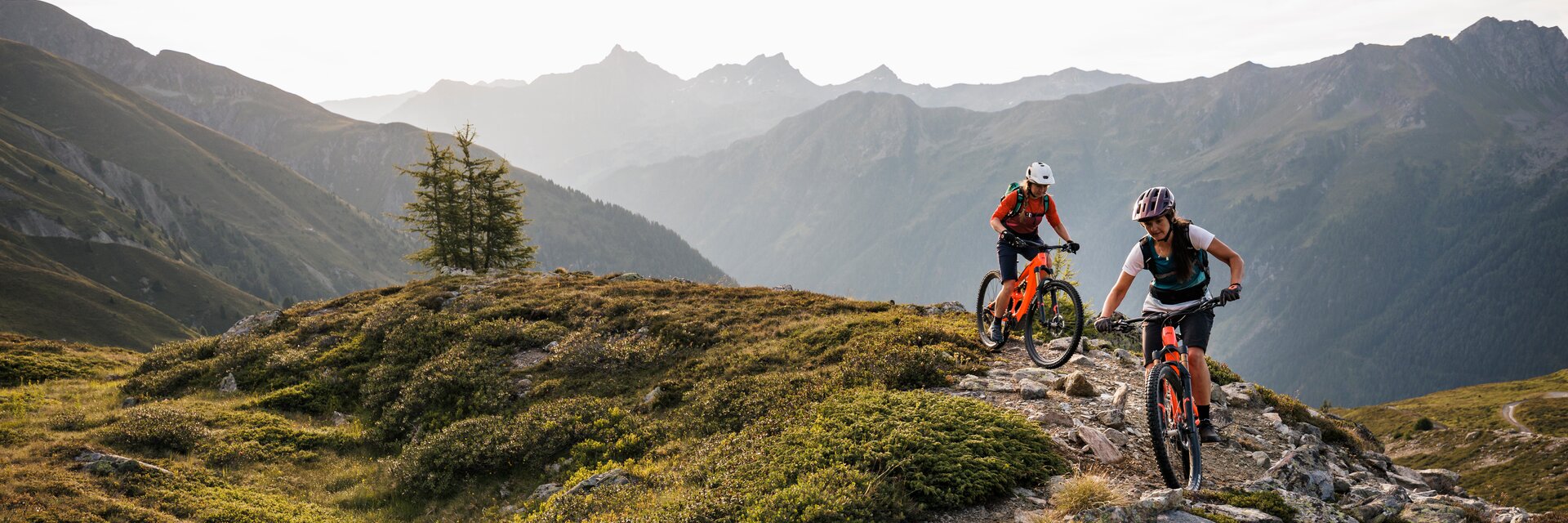 MTB 12 I Trailtour in Val Venosta image